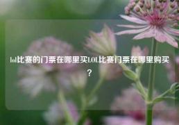 lol比赛的门票在哪里买LOL比赛门票在哪里购买？