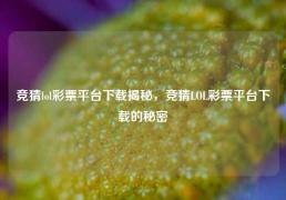 竞猜lol彩票平台下载揭秘，竞猜LOL彩票平台下载的秘密