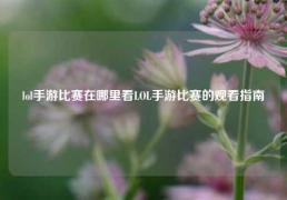 lol手游比赛在哪里看LOL手游比赛的观看指南