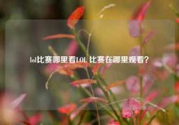 lol比赛哪里看LOL 比赛在哪里观看？