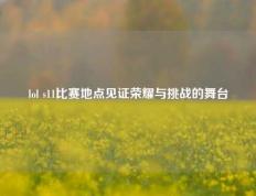lol s11比赛地点见证荣耀与挑战的舞台