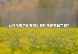 lol其他赛区比赛怎么看如何观看和了解？