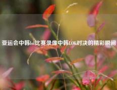 亚运会中韩lol比赛录像中韩LOL对决的精彩瞬间