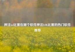 押注lol比赛在哪个软件押注LOL比赛的热门软件推荐