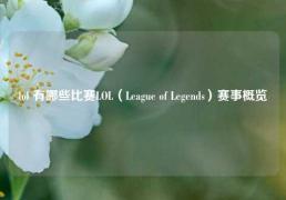 lol 有哪些比赛LOL（League of Legends）赛事概览