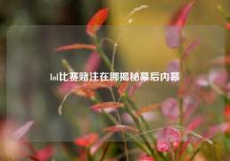 lol比赛赌注在哪揭秘幕后内幕