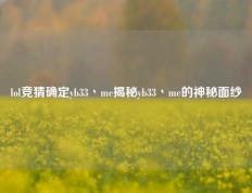 lol竞猜确定yb33丶me揭秘yb33丶me的神秘面纱