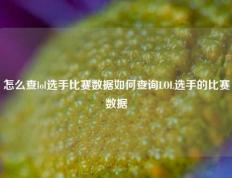 怎么查lol选手比赛数据如何查询LOL选手的比赛数据