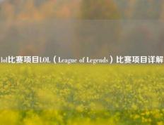 lol比赛项目LOL（League of Legends）比赛项目详解