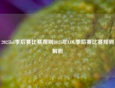 2025lol季后赛比赛规则2025年LOL季后赛比赛规则解析