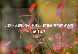 lol职业比赛叫什么名字LOL职业比赛的正式名称是什么？