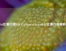 lol比赛行程LOL（League of Legends）比赛行程解析