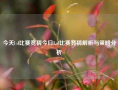 今天lol比赛竞猜今日Lol比赛竞猜解析与策略分析