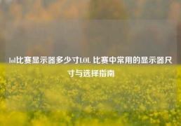 lol比赛显示器多少寸LOL 比赛中常用的显示器尺寸与选择指南
