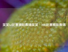 笑笑lol比赛精彩集锦笑笑·LOL比赛精彩集锦