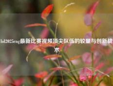 lol2025rng最新比赛视频顶尖队伍的较量与创新战术