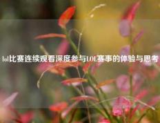 lol比赛连续观看深度参与LOL赛事的体验与思考
