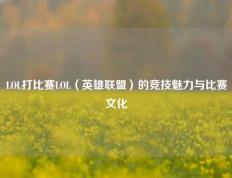 LOL打比赛LOL（英雄联盟）的竞技魅力与比赛文化