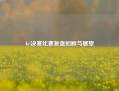 lol决赛比赛复盘回顾与展望