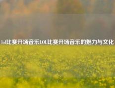 lol比赛开场音乐LOL比赛开场音乐的魅力与文化