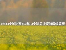 2025lol全球比赛2025年Lol全球总决赛的辉煌篇章