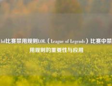 lol比赛禁用规则LOL（League of Legends）比赛中禁用规则的重要性与应用
