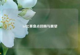 lol比赛盘点回顾与展望