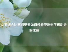 lol亚运会比赛哪里看如何观看亚洲电子运动会的比赛