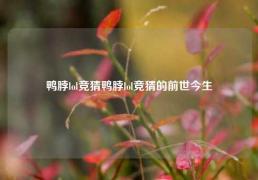 鸭脖lol竞猜鸭脖lol竞猜的前世今生