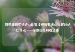 哪里能看亚运会lol比赛视频看亚运Lol比赛的绝佳地点——探索在线观看资源