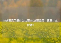 lol决赛完了是什么比赛LOL决赛完后，这是什么比赛？