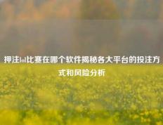 押注lol比赛在哪个软件揭秘各大平台的投注方式和风险分析