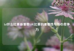 lol什么比赛最重要LOL比赛的重要性与核心竞争力