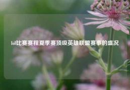 lol比赛赛程夏季赛顶级英雄联盟赛事的盛况