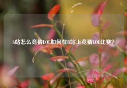b站怎么竞猜LOL如何在B站上竞猜LOL比赛？