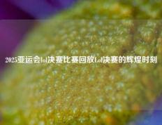 2025亚运会lol决赛比赛回放Lol决赛的辉煌时刻