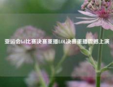 亚运会lol比赛决赛重播LOL决赛重播震撼上演