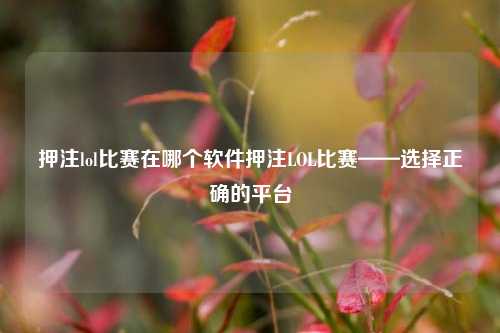 押注lol比赛在哪个软件押注LOL比赛——选择正确的平台