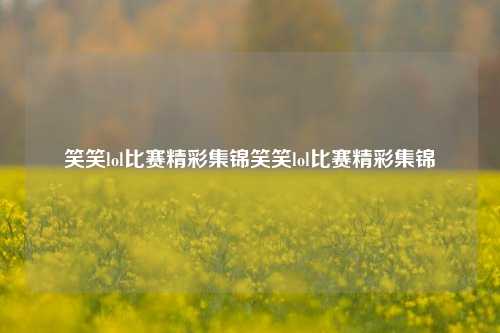 笑笑lol比赛精彩集锦笑笑lol比赛精彩集锦