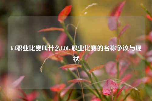 lol职业比赛叫什么LOL 职业比赛的名称争议与现状