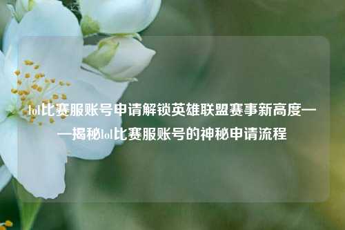 lol比赛服账号申请解锁英雄联盟赛事新高度——揭秘lol比赛服账号的神秘申请流程