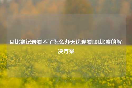 lol比赛记录看不了怎么办无法观看LOL比赛的解决方案