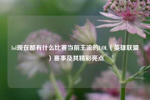 lol现在都有什么比赛当前主流的LOL（英雄联盟）赛事及其精彩亮点