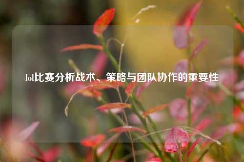 lol比赛分析战术、策略与团队协作的重要性