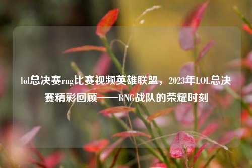 lol总决赛rng比赛视频英雄联盟，2023年LOL总决赛精彩回顾——RNG战队的荣耀时刻