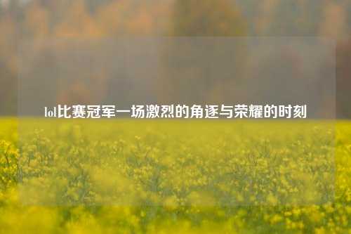 lol比赛冠军一场激烈的角逐与荣耀的时刻