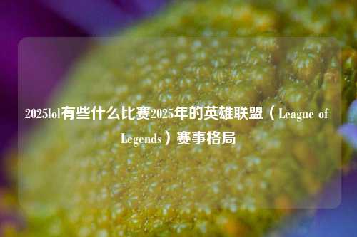 2025lol有些什么比赛2025年的英雄联盟（League of Legends）赛事格局