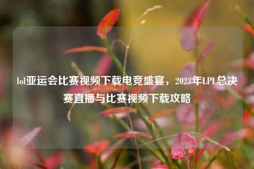 lol亚运会比赛视频下载电竞盛宴，2023年LPL总决赛直播与比赛视频下载攻略