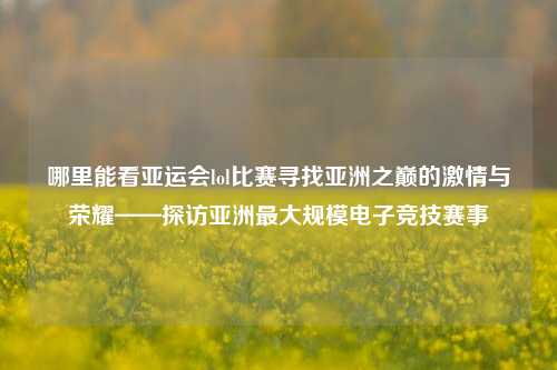 哪里能看亚运会lol比赛寻找亚洲之巅的激情与荣耀——探访亚洲最大规模电子竞技赛事
