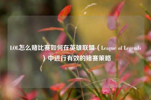 LOL怎么赌比赛如何在英雄联盟（League of Legends）中进行有效的赌赛策略